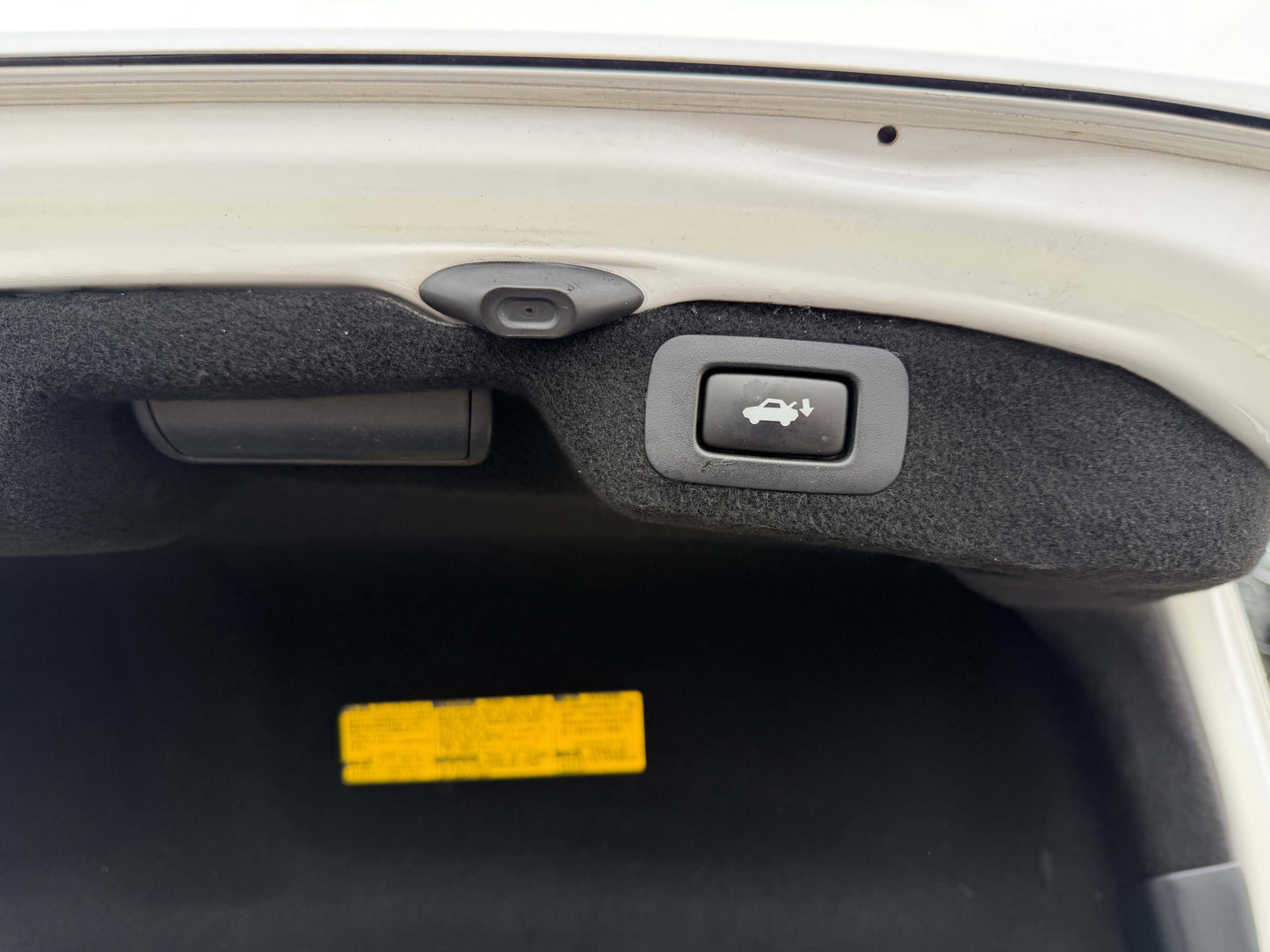 Interior trunk lid switch and button in 2007 Lexus LS600h AWD V8 5.0L Hybrid for opening the trunk.