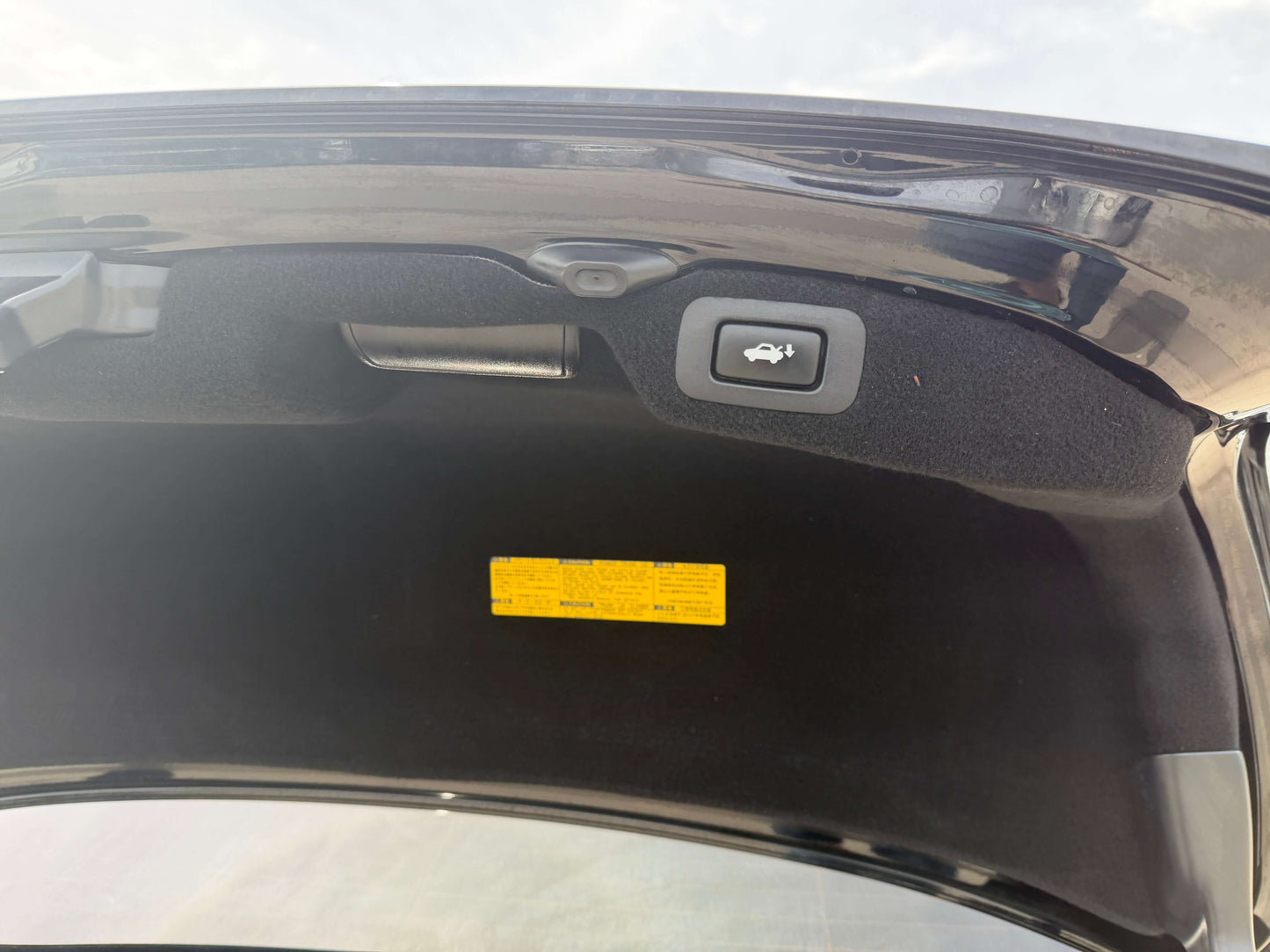 Trunk interior of a 2007 Lexus LS600hL AWD V8 5.0L Hybrid showing release button and label.